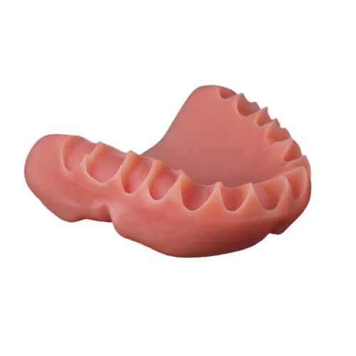 FotoDent® denture 385nm by Dreve